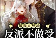 《追妻火葬场：反派不做受气媳妇啦》小说章节在线试读，《追妻火葬场：反派不做受气媳妇啦》最新章节目录-经典文学