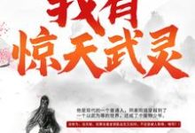 《我有惊天武灵》小说章节在线试读，《我有惊天武灵》最新章节目录-经典文学