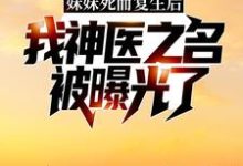 妹妹死而复生后,我神医之名被曝光了林漠许半夏,妹妹死而复生后,我神医之名被曝光了在线无弹窗阅读-经典文学