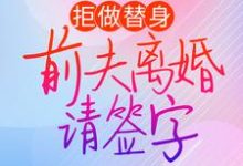 求拒做替身:前夫离婚请签字小说的全文免费阅读链接-经典文学