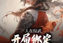 杨铭的故事在哪本书里?免费阅读人在综武,开局绑定嘲讽曝光系统-经典文学