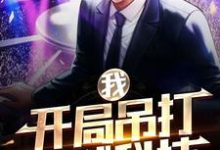 《我，开局吊打全球科技》全集免费在线阅读（何小苗林洛）-经典文学