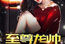 小说《至尊龙帅》章节阅读-经典文学