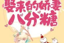 求甜蜜诱饵:娶来的娇妻八分糖小说免费资源-经典文学