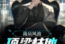 主角唐辰小说完结版在线阅读，裁员风波：顶梁柱他创业成功了免费看-经典文学