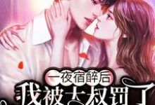 一夜宿醉后,我被大叔罚了100遍家规小说的所有章节都能在哪里免费读到?-经典文学