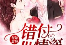 替嫁危情：错付一世情深小说全文哪里可以免费看？-经典文学