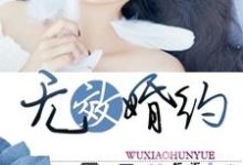 小说《无效婚约》章节免费阅读-经典文学