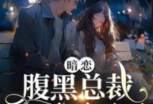 暗恋:腹黑总裁,他忍不了了小说最新更新在哪里?免费在线看-经典文学