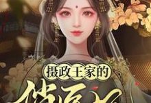 主角林晚晴赵景淮小说摄政王家的俏医妃免费阅读-经典文学