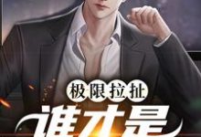 极限拉扯：谁才是爱情赢家小说完结版章节免费阅读-经典文学