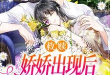 已完结小说《救赎：娇娇出现后，他的心里有光了》章节在线阅读-经典文学