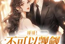 霍律师的掌上明珠夏听晚霍行简,霍律师的掌上明珠最新章节-经典文学