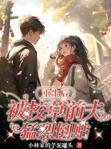 求宋澜书周珩之小说免费资源