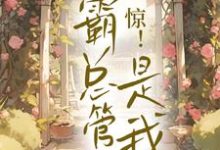 惊！霸总管家是我免费阅读，惊！霸总管家是我章节在线阅读-经典文学
