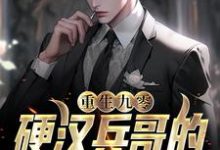 苏樱谢旌小说叫什么(重生九零,硬汉兵哥的甜美娇妻免费阅读)-经典文学