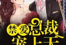 禁爱总裁宠上天小说无弹窗阅读的网站推荐-经典文学