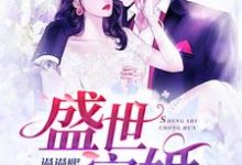 盛世宠婚小说免费资源，盛世宠婚在线阅读-经典文学