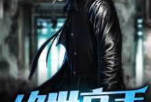 小说《绝世高手》章节免费阅读-经典文学