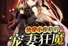 快穿小撩精的宠妻狂魔又醋了这本小说怎么样？免费在线阅读试试-经典文学