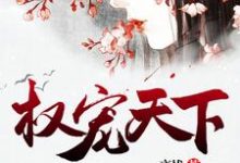 已完结小说《权宠天下》章节免费阅读-经典文学
