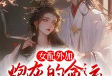 主人公叫沈婉青陆忱的小说女配外加炮灰的命运，不争也罢在线阅读章节-经典文学