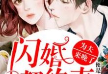 闪婚契约妻：为夫来晚了小说完结了吗？在哪里可以免费读到？-经典文学