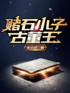 已完结小说《赌石小子古董王》在线章节阅读