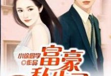 已完结小说《富豪私生子》章节免费阅读-经典文学