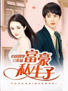 已完结小说《富豪私生子》章节免费阅读