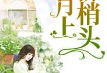 已完结小说《月上柳梢头》章节在线阅读-经典文学