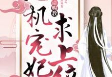 小说《心机宠妃求上位：王爷，请赐教》章节阅读-经典文学