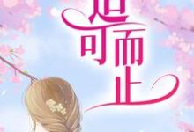 完结版《适可而止》章节阅读-经典文学
