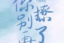 你别再撩了最新章节,你别再撩了免费阅读-经典文学