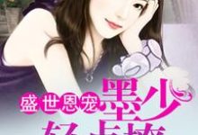 完结版《盛世恩宠：墨少轻点撩》章节阅读-经典文学