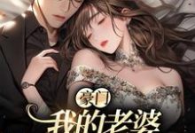 豪门:我的老婆平平无奇小说最新章节在哪里可以读到?-经典文学