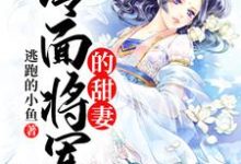 冷面将军的甜妻(苏锦年南宫墨)在线免费阅读-经典文学
