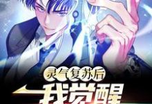 完结版《灵气复苏后,我觉醒S级天赋》章节阅读-经典文学