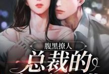 寻找能够免费阅读腹黑撩人：总裁的宠爱陷阱小说的平台-经典文学