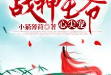 重生后成了战神王爷心尖宠免费阅读,重生后成了战神王爷心尖宠章节在线阅读-经典文学