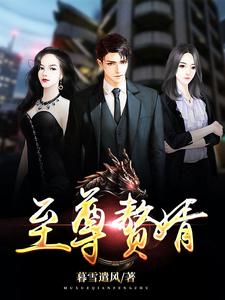 小说《至尊赘婿》章节阅读