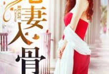 白淼慕祁然为主角的小说好看吗？免费读宠妻入骨-经典文学
