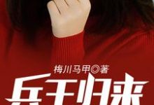 兵王归来有了老婆女儿这本小说在哪里可以看？哪里有免费试读章节？-经典文学