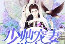 主人公叫童晚舟宫夜承的小说少帅宠妻甜蜜蜜在线阅读章节-经典文学