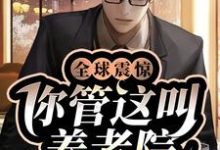 全球震惊!你管这叫养老院?小说的免费阅读版本在哪里可以找到?-经典文学