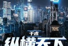 小说《千术：纵横天下》在线章节阅读-经典文学