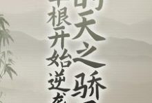 从草根开始逆袭的天之骄子最新章节，从草根开始逆袭的天之骄子免费阅读-经典文学