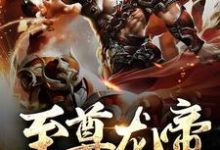 主角林霄小说完结版在线阅读,至尊龙帝免费看-经典文学