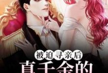 褚清浅厉衍邢的故事在哪本书里?免费阅读被迫寻亲后,真千金的马甲掉疯了-经典文学