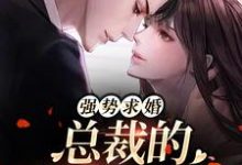 强势求婚,总裁的幸孕罪妻小说有没有完结版在线?-经典文学